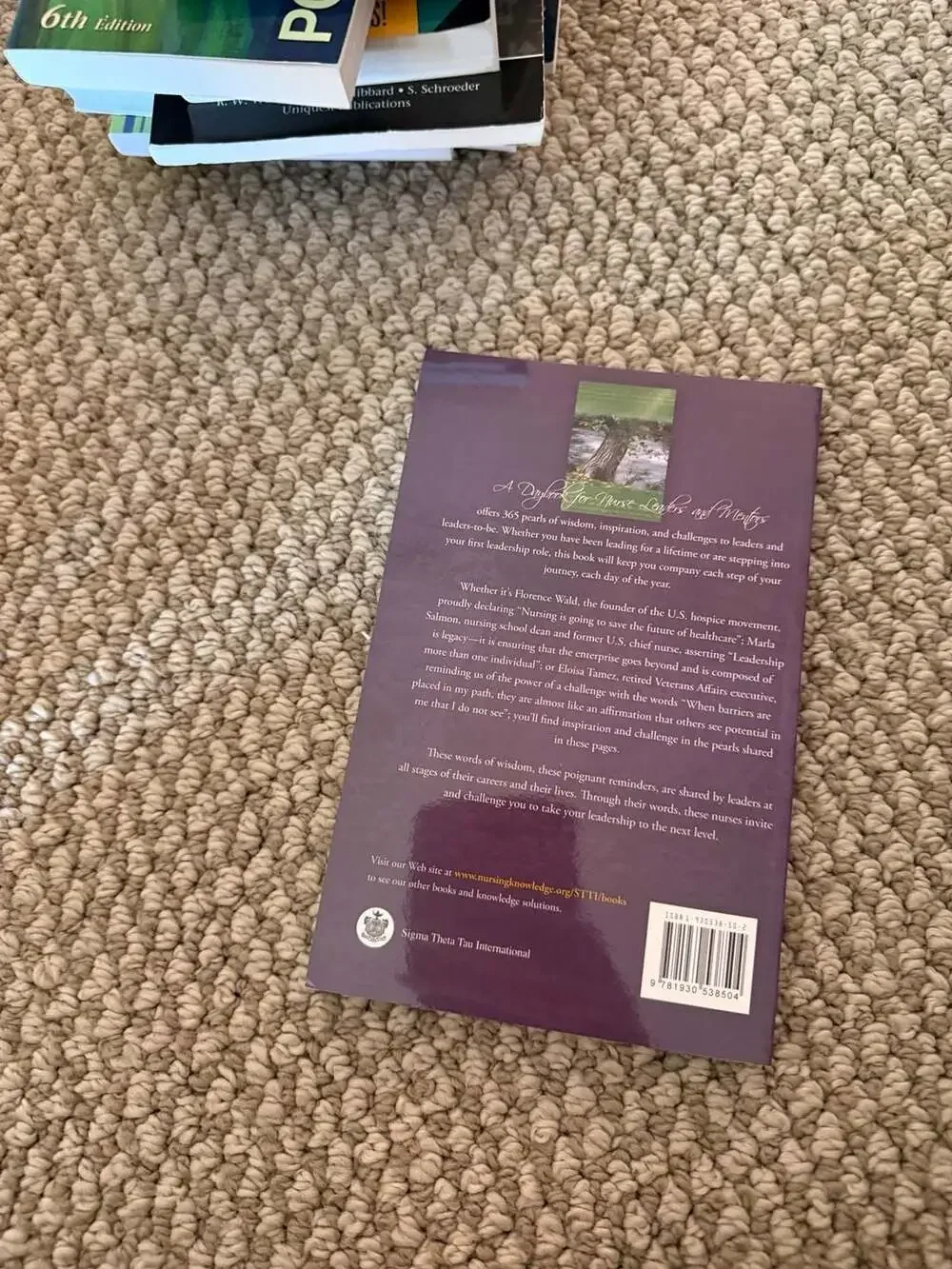 A Daybook for Nurse Leaders and Mentors (2006) - ,
